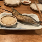 夜ノ焼魚 ちょーちょむすび - 