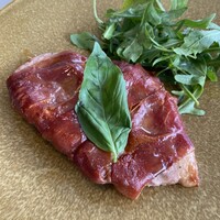 CODA ROSSA - 