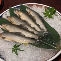 土佐料理 祢保希 赤坂店 - 
