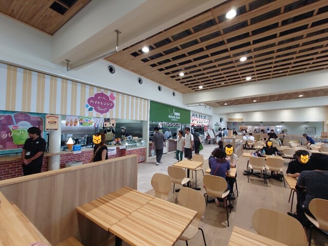 Parlor Hydrangea photo 5