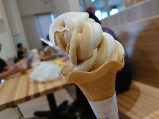 Parlor Hydrangea photo 3