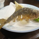 鮎の里ほらど  - 