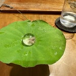 セララバアド - 