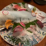 どまん中 秋葉原店 - 