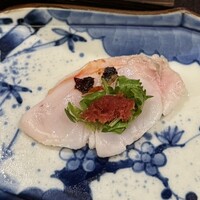 KOBAYASHI - 