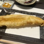 天冨良 よこ田 - 