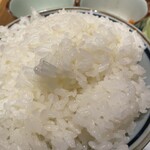 魚菜屋 - ごはん大盛は無料