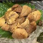 創彩和房ふじた - 愛媛産赤うに