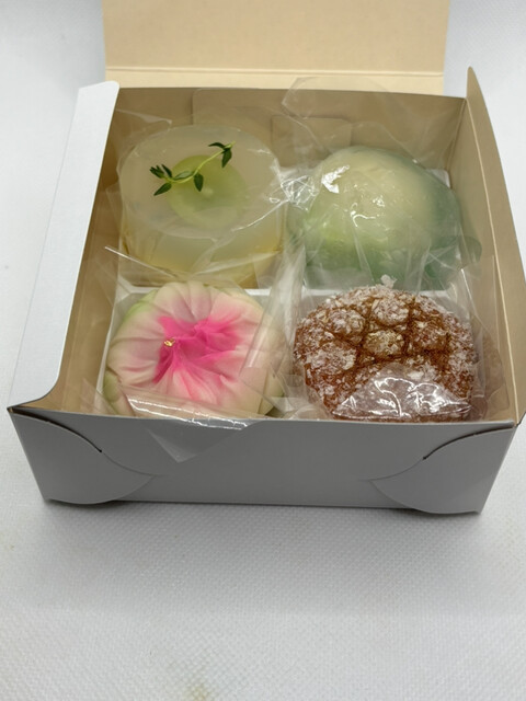 Kashiya Nona photo 4