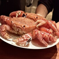 蒼 - 