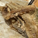 魚と酒 はなたれ - 