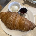 LAGOON TOOTH TOOTH - 