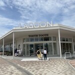 LAGOON TOOTH TOOTH - 