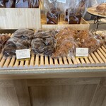 LAGOON TOOTH TOOTH - 