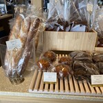 LAGOON TOOTH TOOTH - 