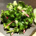 SECRETO - 石黒農園ホロホロ鳥・炭火・チミチュリ・柚子・ともこの山椒