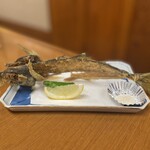 海の幸 磯の坊 - 