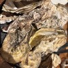 FAST OYSTERS 神楽坂店