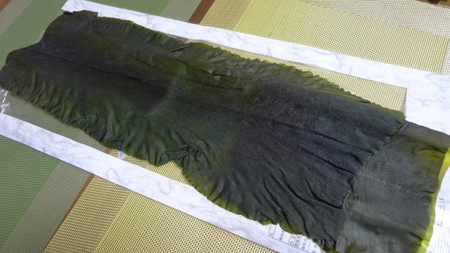 たがだ屋 一本松店 - 陸前高田（その他）の写真