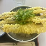 おさかなはうす - 