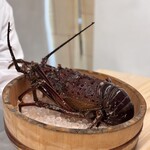 日本料理 久丹 - 