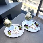 ASAKO IWAYANAGI FUKUOKA - 