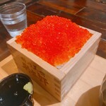 田村 岩太郎商店 - 