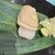 立食い寿司 根室花まる - 料理写真:二世帯ほたて