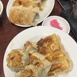 餃子専門店 藤井屋  - 
