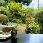 蕎麦 阿き津 - 蕎麦 阿き津　さっきまで店主は席から窓越しに見えるお庭でタケノコ掘りをしてました