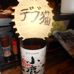 居酒屋たちばな - デブ猫！