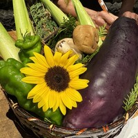 和牛懐石 但馬屋 梅田 - 