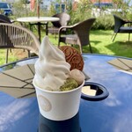 AOYAカンパーニュ - 