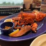 レッドロブスター - 