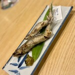 吉田屋 美濃錦 - 