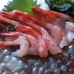 漁師の店 中村屋 - 甘えび