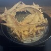 大地のうどん 博多駅ちかてん