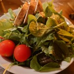 洋食とワインのお店 土筆苑 - 丹波産ベビーリーフのサイドサラダ（小）@500円