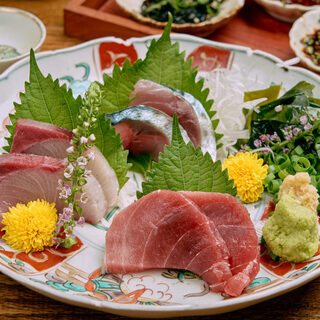 九州料理と旨い酒どんたく_1