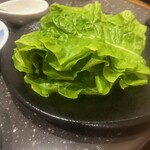 焼肉Dining景福苑 - サンチュ