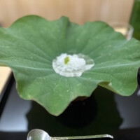 澤田 - 