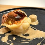 QURO Innovative Fusion - 