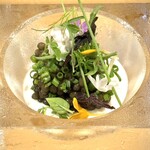 QURO Innovative Fusion - 