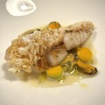 QURO Innovative Fusion - 