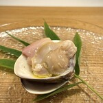 QURO Innovative Fusion - 