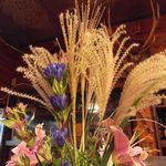 旅路 - 季節を感じさせるススキ