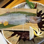 하마야키 시라하마야 - 하마야키 시라하마야 명물 요코의 오징어 활어회(소) 4,780엔