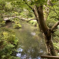うかい鳥山 - 