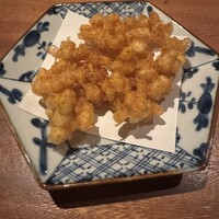 SHIKAKU - 