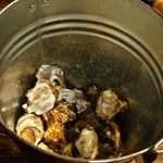 貝賊 - 貝の貝殻はバケツに捨てる